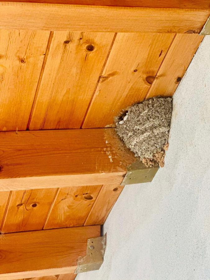 Villa Vista Χειμάρρα Εξωτερικό φωτογραφία