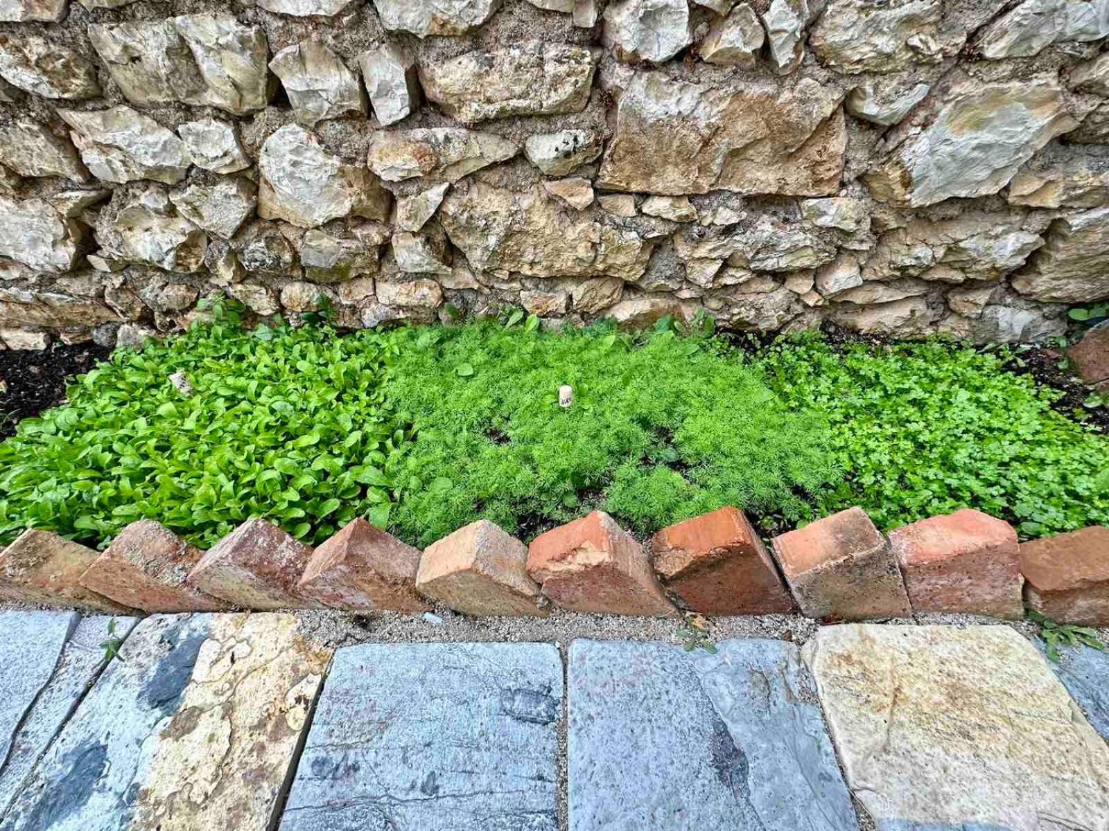 Villa Vista Χειμάρρα Εξωτερικό φωτογραφία